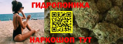 крисы Малоярославец