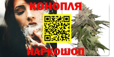 крисы Малоярославец