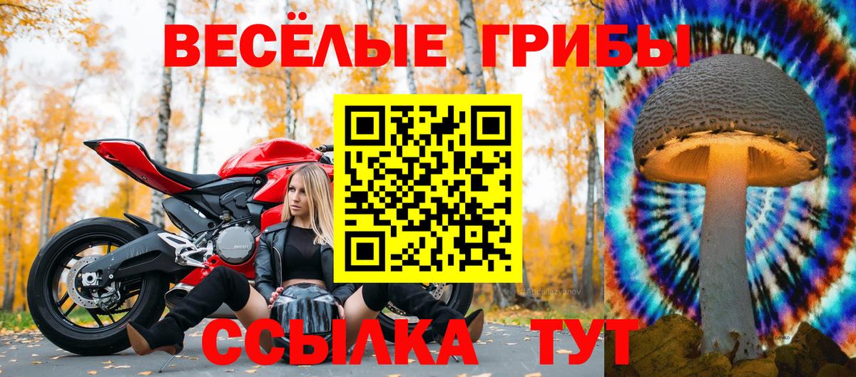 Псилоцибиновые грибы MAGIC MUSHROOMS  Димитровград 