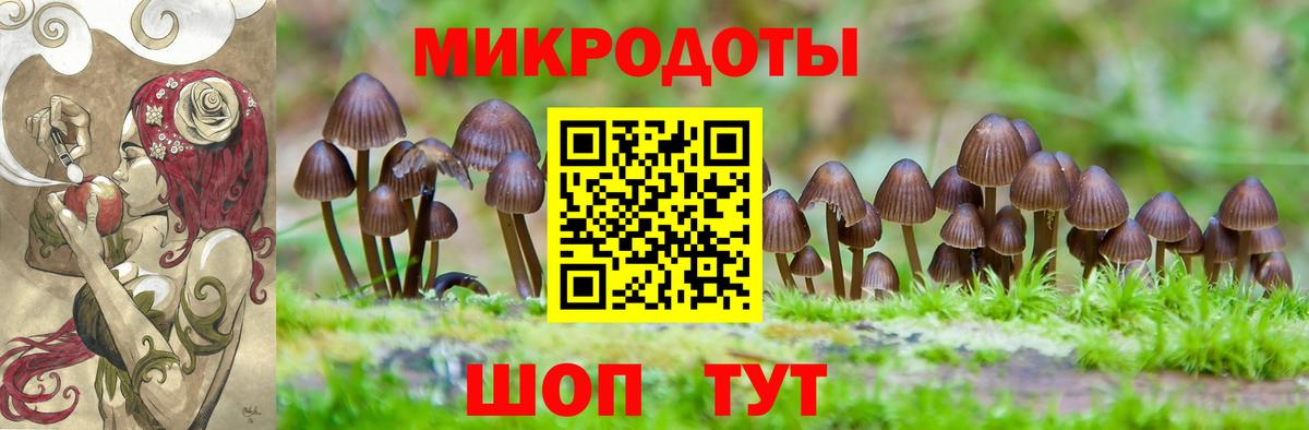 где найти   Вход с VPN  Псилоцибиновые грибы мухоморы  Димитровград  Псилоцибиновые грибы прущие грибы 