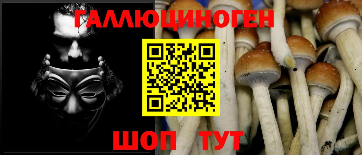 Псилоцибиновые грибы Magic Shrooms Димитровград